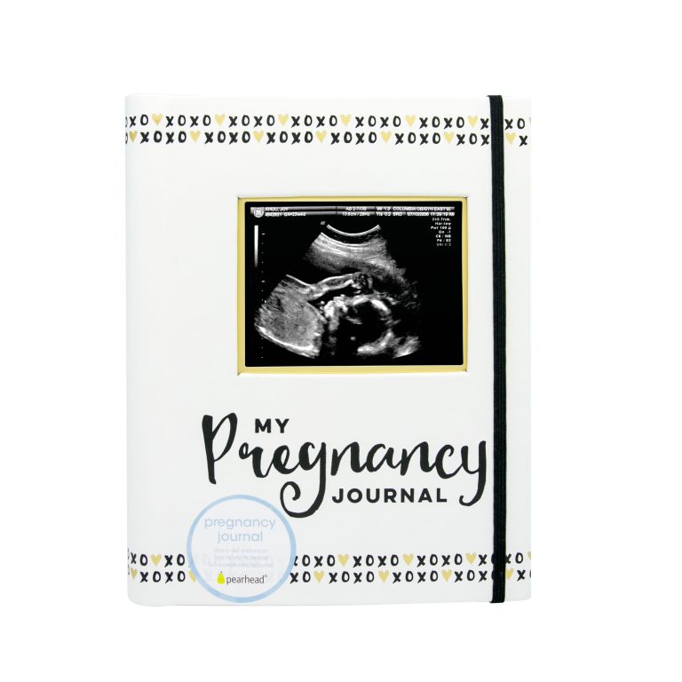 nosečniški dnevnik